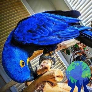 Meet your Posher, Errol